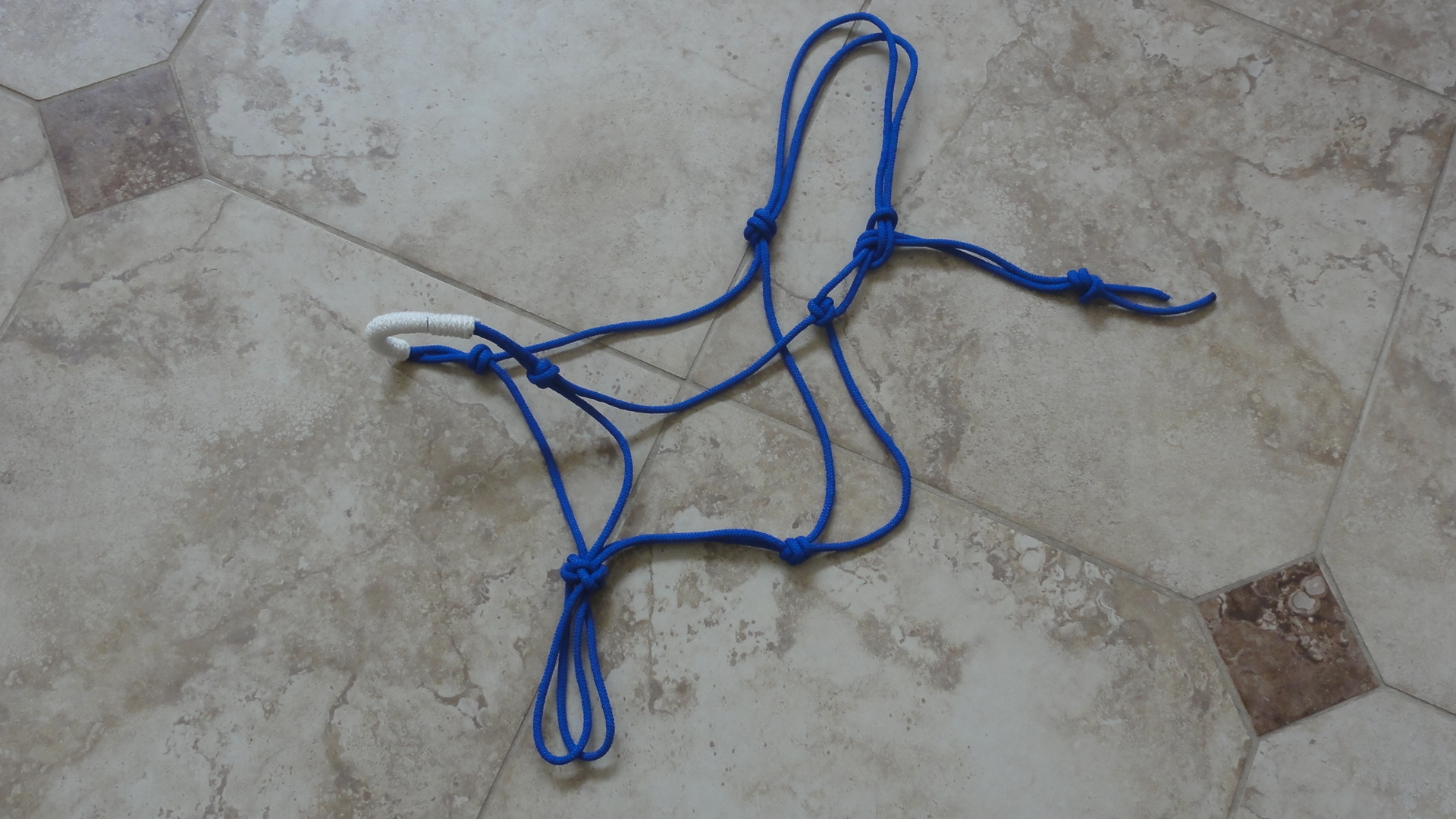 Maverick Halter