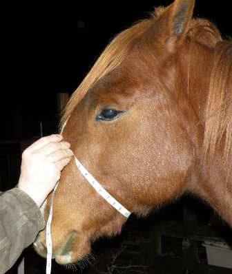 Muzzle Circumference Rope Halter Calculator
